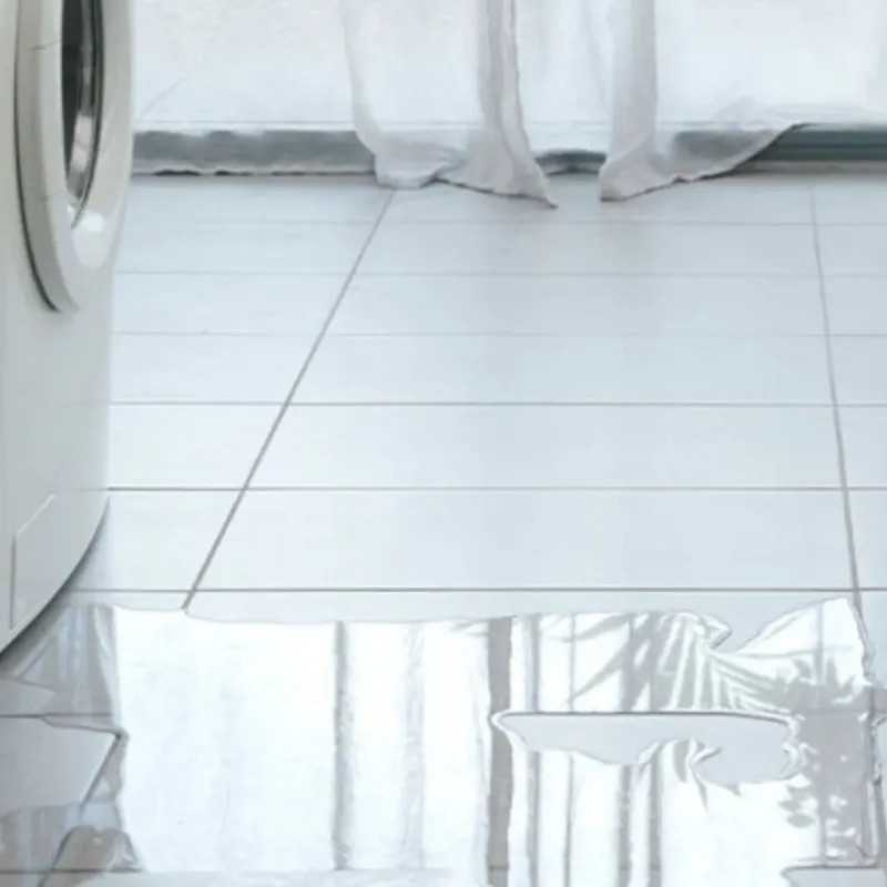 Appliance Leak Cleanup in Covington, GA