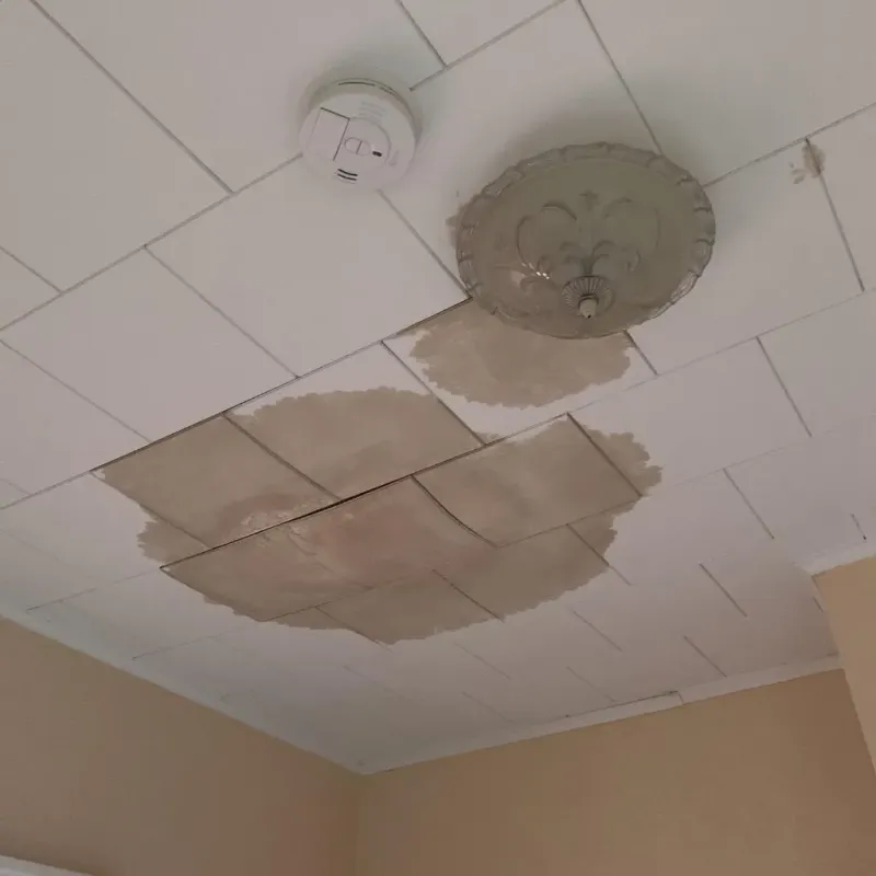 Ceiling Water Damage Repair in Covington, GA